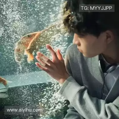 吉滨庭